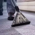 Step-By-Step: How Carpet Cleaning Services Can Transform Your Amsterdam Home